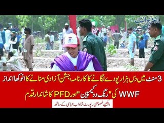 Ten thousand trees in 3 minuates. Rang Do campaign and 14th August celebrations