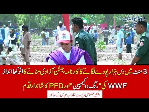 Ten thousand trees in 3 minuates. Rang Do campaign and 14th August celebrations