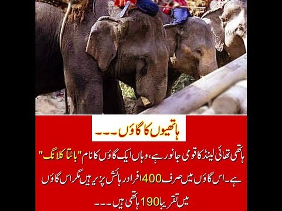 Kids Urdu Story: Hathion Ka Gaon, Thailand k ek...