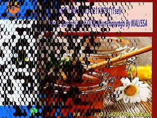 PROMO !! WA : 0813-3211-8791 (Tsel)	Distributor Madu Sumbawa Alami Di Madiun Ponorogo By MALISSA,