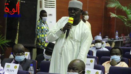 Tchad : débat sur les nominations à la tête des entités administratives