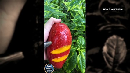 People are awesome awesome part 2