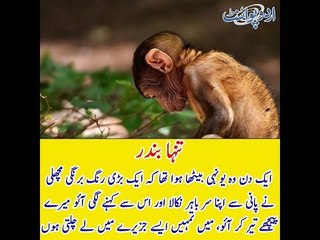 Kids Urdu Story: Tanha Bandar, Ek Din Wo Youni Betha Huwa Tha K Ek Bari Rang Barangi Machli...