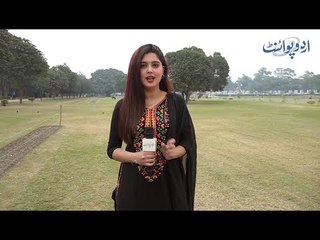 What Did You Want to Be in Childhood, and Where are You Now?