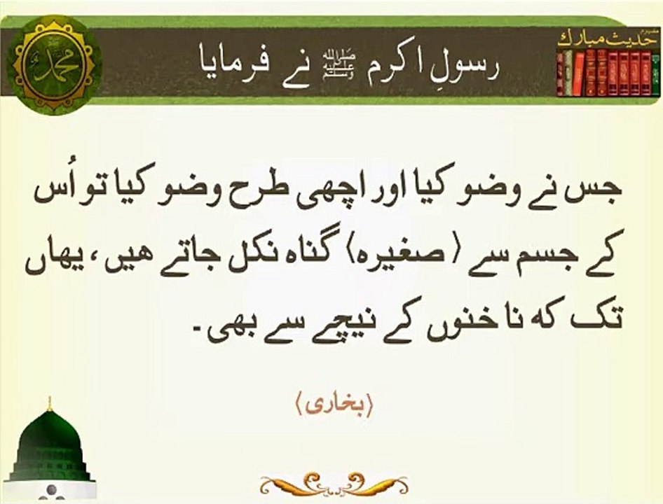 Wazoo | Hadees | Islamic | HD Video