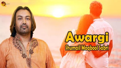Awargi | Shumail Maqbool Sabri | Love Song | Gaane Shaane