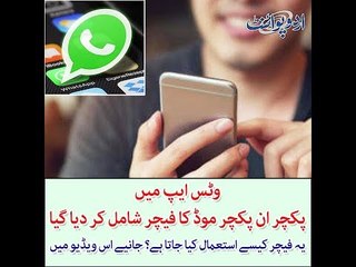 Whatsapp Introduced Picture in Picture Mode? How to Use this Feature?