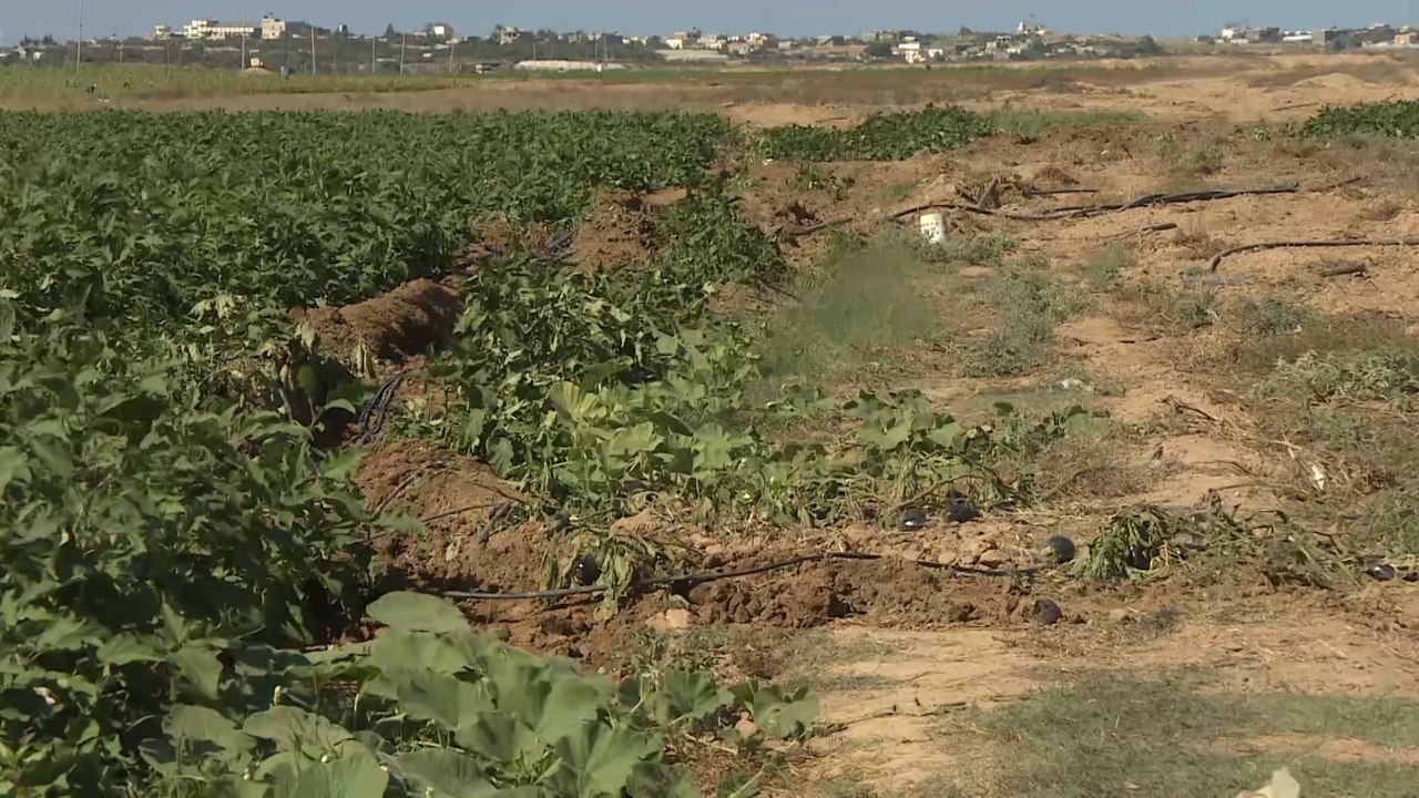 قوات الاحتلال تقوم بعمليات توغل واجتياح داخل أراضي القطاع