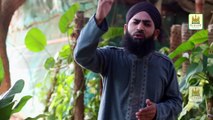 Jashn Milad un Nabi Hai | Naat | Abdullah Qadri |Prophet Mohammad PBUH | HD