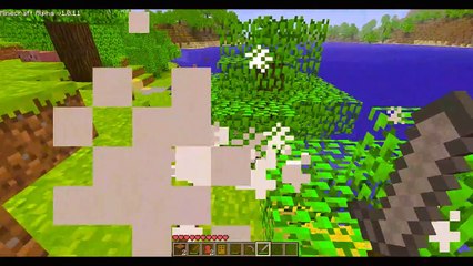 Minecraft Gameplay (older version)