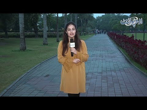 Ek Aurat Seerhi Se Neeche Girti Hai Lekin Usay Na Chaut Ati Hai Na Injury Hoti Hai, Kiun?