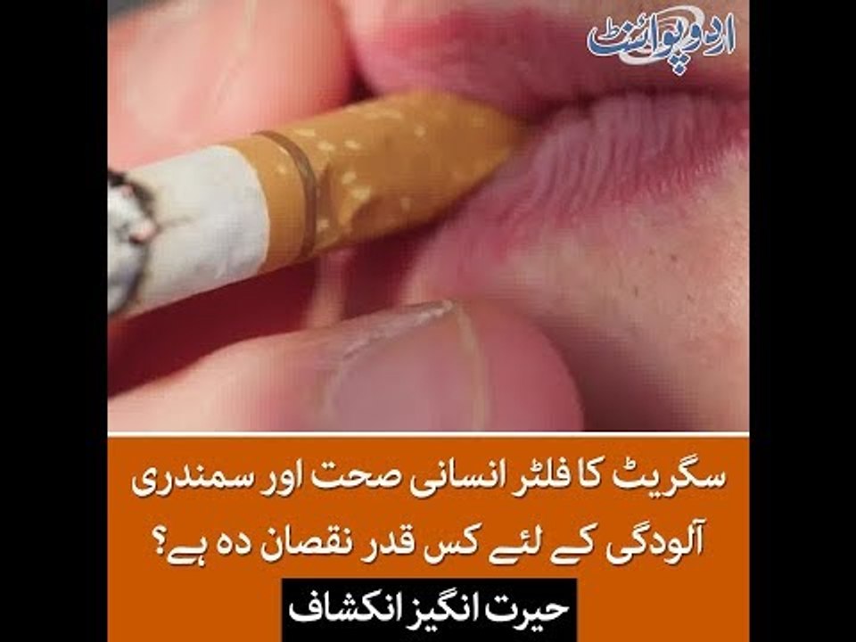 Cigarette Butt's (Filters) Are The Worst Contaminant of Oceans, Details in this Video