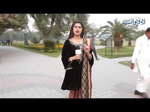 Woh Kya Hia Jo Raat Ko Paida Huwa, Subah Ko Jawan, Dupehar Ko Boorha Aur Shaam Ko Jaan Nikli?