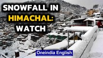 Himachal receives fresh snowfall: look at the dreamy landscape | Oneindia News
