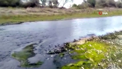 Simav Çayı S.O.S. veriyor