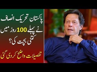 How Much Money Did PTI Govt Save in its First 100 Days? Know Details