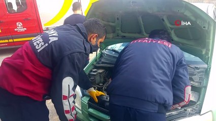 Otomobilden kedi kurtarma operasyonu