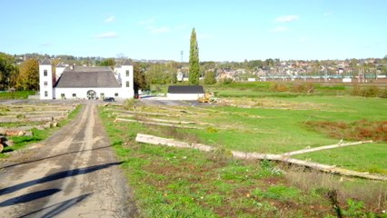 Les arbres de la Ferme Blanche d'Asie ( Malonne ) ont tous été coupés.