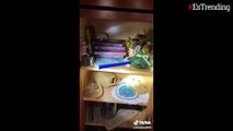 Video: una mujer encuentra en su nueva casa una 'misteriosa' habitación secreta llena de 'extrañas' muñecas