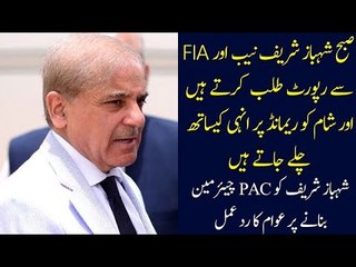 People React to Shahbaz Sharif’s Appointment as PAC Chairman