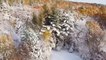 Aerial view of snow-covered foliage
