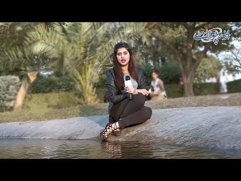 Sheeshay Ki Kothari Hai Kanton Ki Baar, Kala Safaid Rang Hai Boojho Mere Yar, Riddle Question