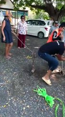 Community Works Together to Rescue Trapped Dog