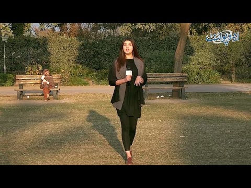 Ek Admi 10 Rupay Mein Ganja Huwa tou 10 Ganjay Kitnay Paison Mein Ganjay Honge? Funny Common Sense