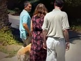 The Dog Whisperer Season 1 Episode 19 Sunshine And Teddy (Worst In Show Part 2)