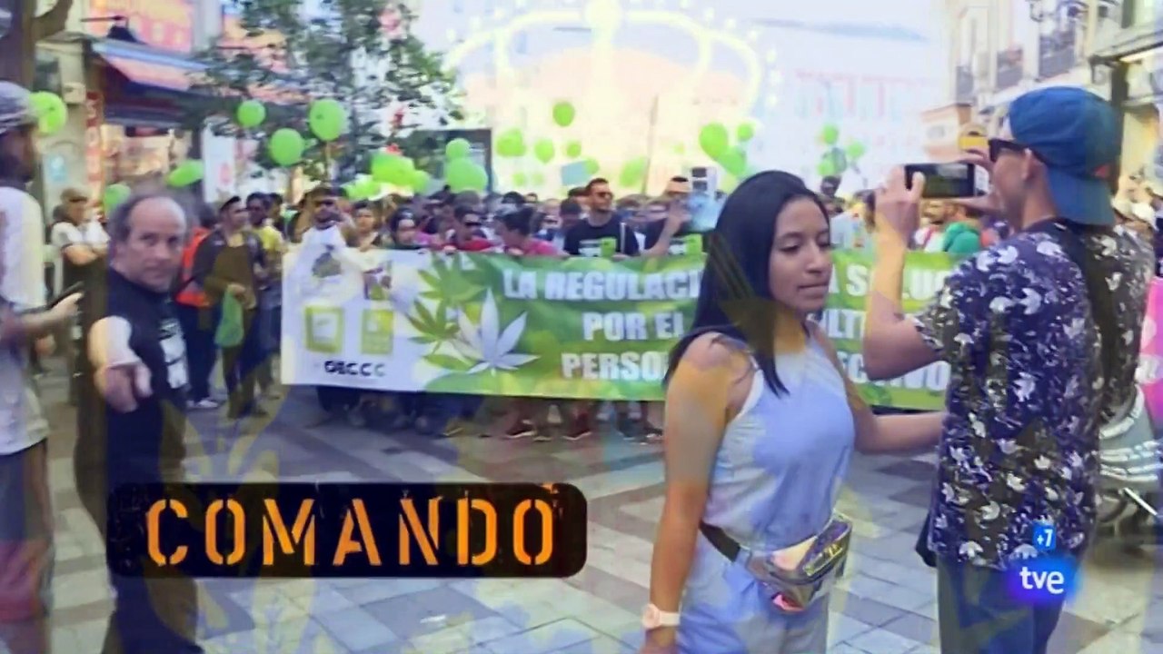 Marihuana y Cannabis.Comando Actualidad
