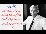 Kids Urdu Story: Chotha Saib, Ek Dafa Kashmiri Rahnuma Ghulam Abbas Quaid-e-Azam Se Milnay...
