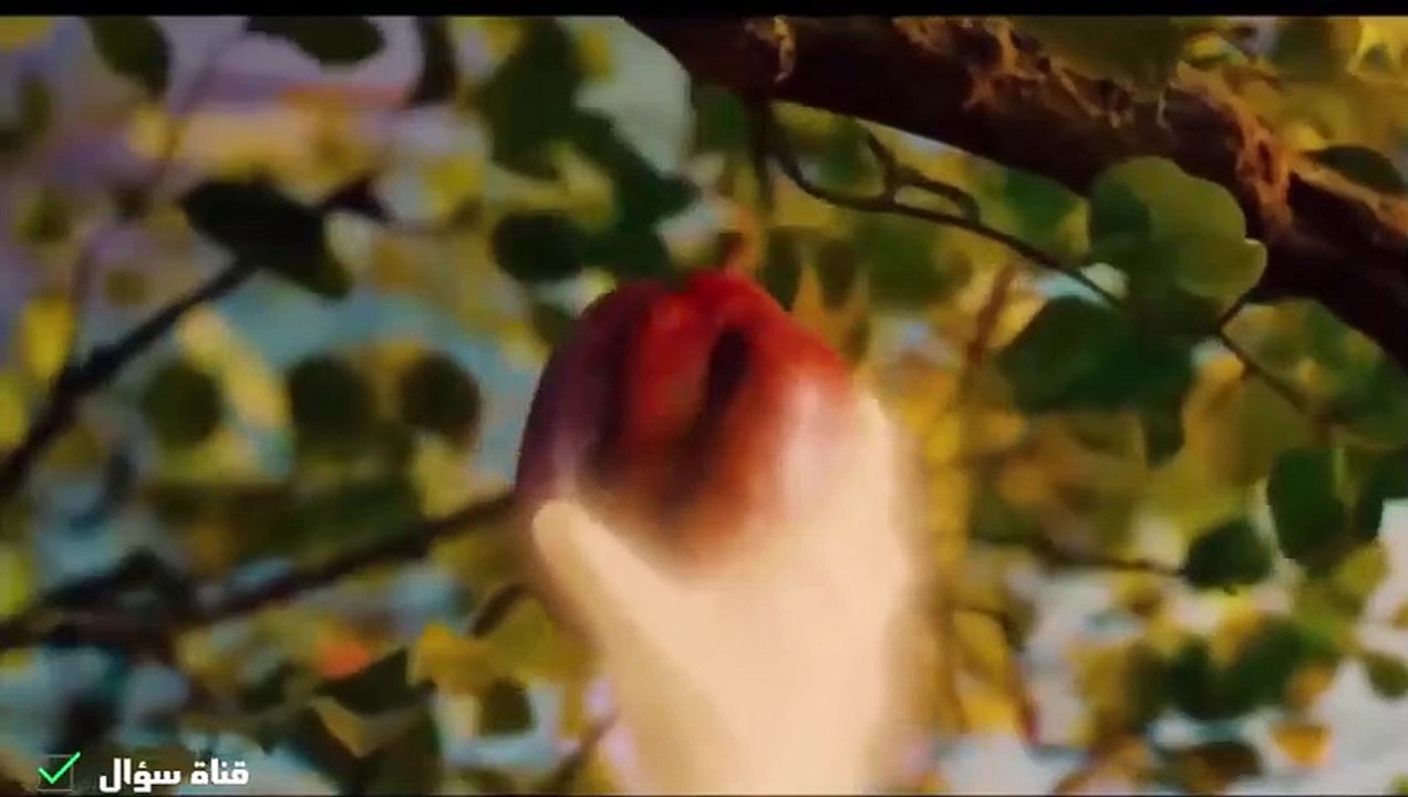 ترتيب الأنبياء بالشكل الصحيح  من آدم إلى محمد ﷺ وكم عاش كل منهم _وهل هم من  دول عربية؟(480P)_1