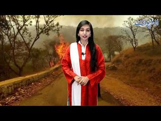 India Pays the Price of its Surgical Strike on Pakistani Trees