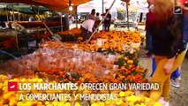 Buscando flores para la ofrenda, presupuesto $100  
