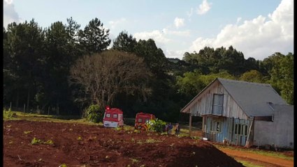 Ataque de abelhas mobiliza socorristas até propriedade rural