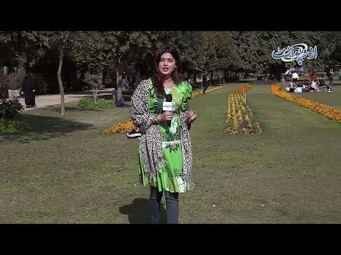 Woh Kya Hai Jise Agar Bandh Dia Jaye tou Woh Hamaray Paas Nahin Rahay Ga? Common Sense Question