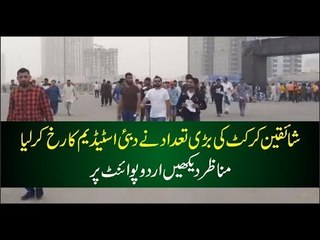 Watch UrduPoint's Special Coverage of PSL Last Day in Dubai