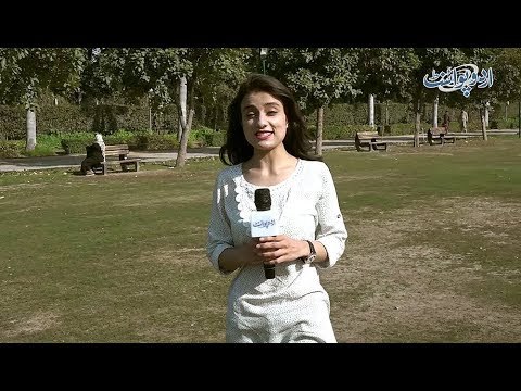 Dunya Main Scientists Ne Sab Se Ziada Experiments Kis Jaandar Per Kiay Hain? General Knowledge