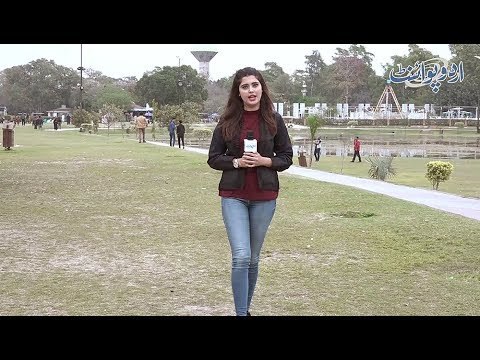 Woh Kaunsa Naam Hai Jo Ek Larkay Ka, Larki Ka Aur Kuttay Ka Ho Sakta Hai?