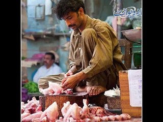 Important News for Chicken Meat Addicts