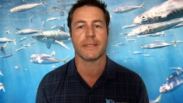 Australian scientists collecting coral for conservation