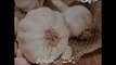 Know the Numerous Benefits of Eating Garlic. The Modern Research Revealed