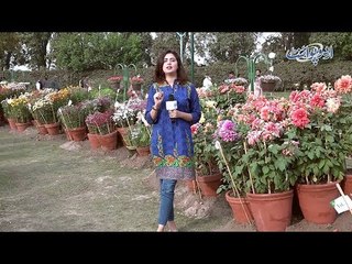 Blue Pen Se Black Kis Tarah Likha Ja Sakta Hai? Funny Common Sense Question