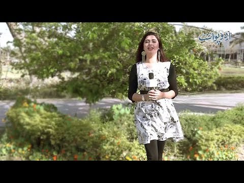 Woh Kya Hai Jiske Paon Hain aur Na Zuban, Lekin Woh Chalta Bhi Hai aur Bolta Bhi Hai?