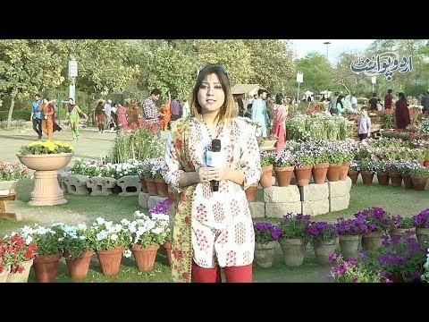 Woh Kaunsa Mulk Hai Jahan Murghi Neelay Rang K Anday Detii Hai? General Knowledge Question