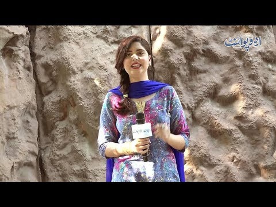 Woh Kaunsi Sabzi Hai Jis Main Kisi Mulk, Zila Aur Zaban Ka Naam Bhi Shamil Hai? Common Sense