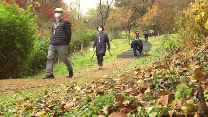 52년 배일 벗은 북악산...'김신조 길' 시민도 걷는다! / YTN