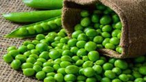 हरी मटर खाने के हैरान कर देने वाले फायदे । Health Benefits Of Green Peas । Boldsky