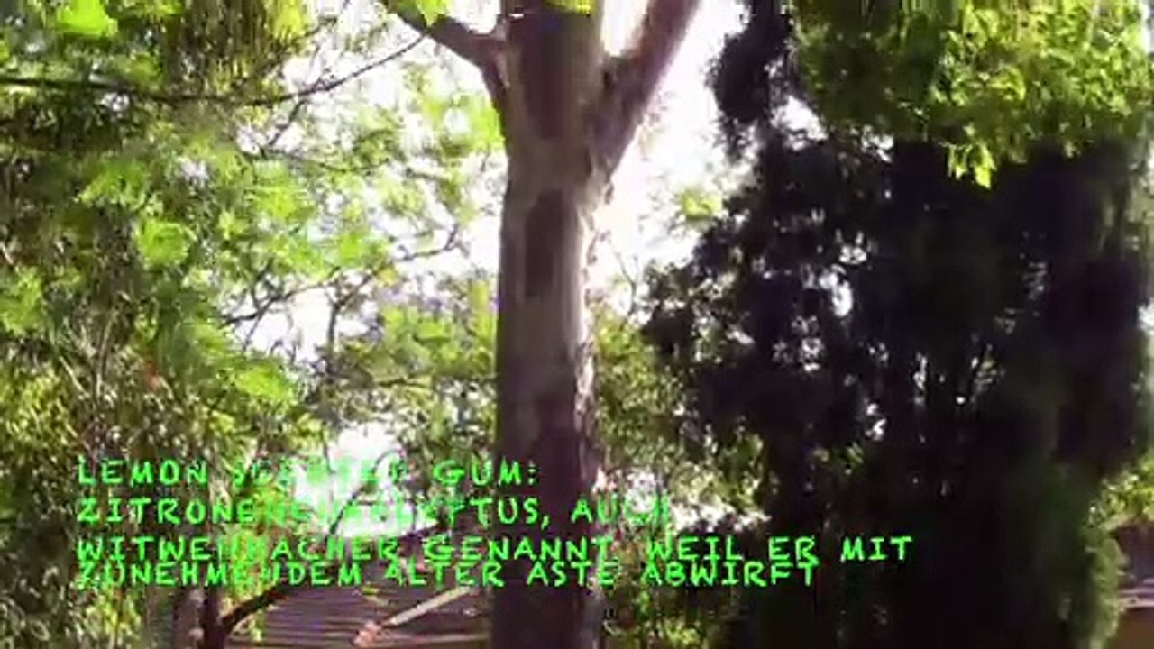 Seven Hills - Australia