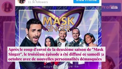 Mask Singer 2 : la renarde éliminée, voici la star qui se cachait derrière
